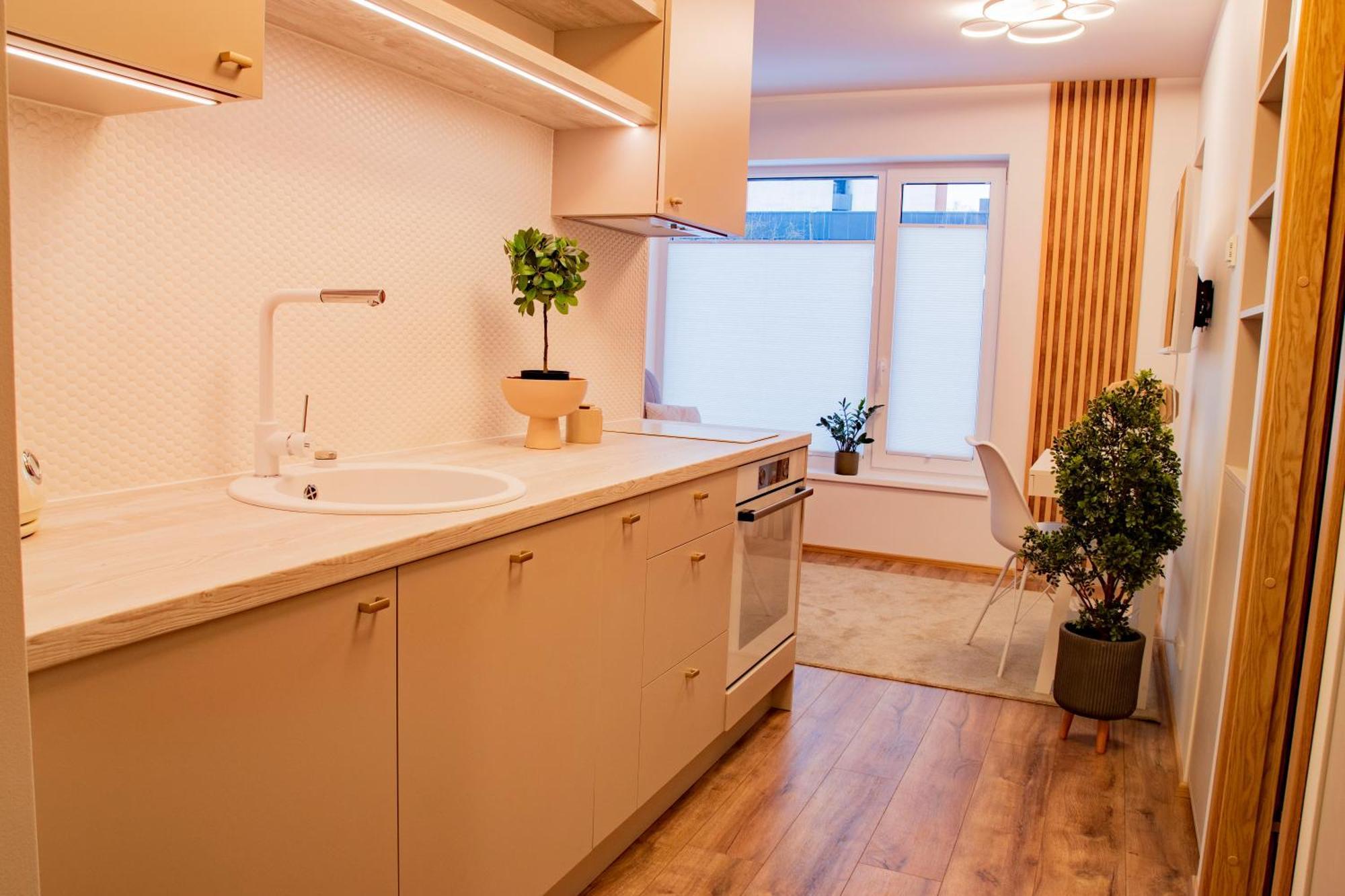Express Premium Apartments - City Center Тарту Екстер'єр фото